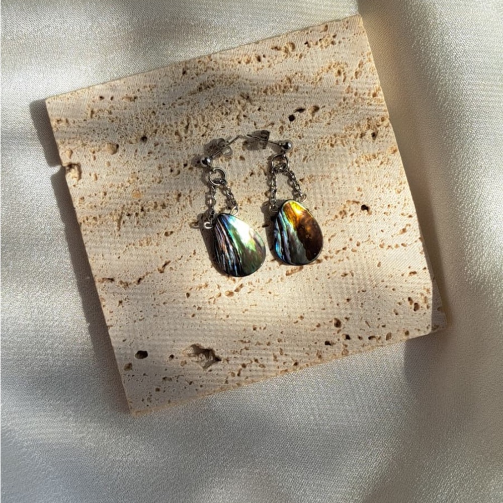 Silver and abalone shell teardrop Earrings